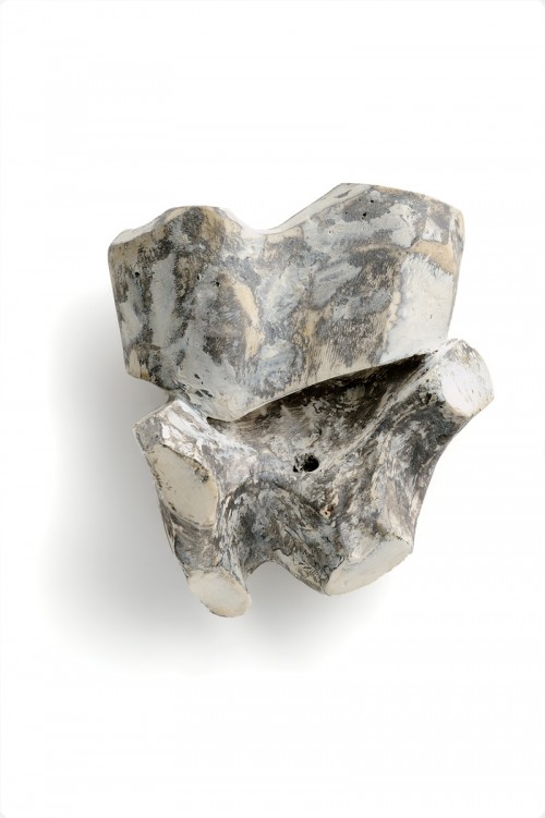 Anastasia Kandaraki - Boom. Brooch. Bone, plaster, acrylic, silver. Photo from http://www.artjewelryforum.org